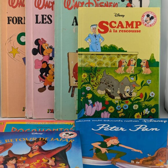 Rare Vintage French Disney Storybook Set – Collector’s Bundle - Picture 2 of 9